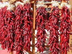 Kuru Biber Kullanımı ve Faydaları Nelerdir?